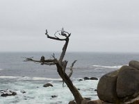 07-01-16-California-29085