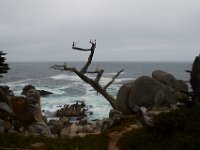 07-01-16-California-29089