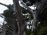 07-01-16-California-29093