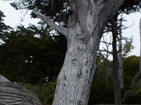07-01-16-California-29094