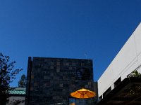 07-02-16-California-29335