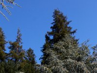 07-02-16-California-29350
