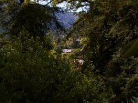 07-04-16-California-20144