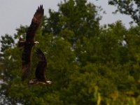 06-24-16-Selbys Landing-25342