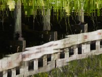 06-24-16-Selbys Landing-25408