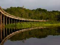 06-24-16-Selbys Landing-25413