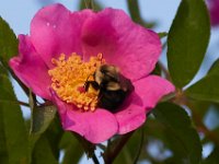06-24-16-Selbys Landing-25422