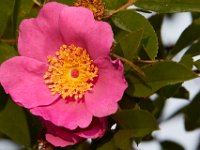 06-24-16-Selbys Landing-25431