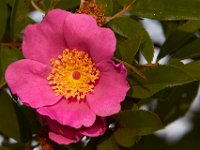06-24-16-Selbys Landing-25440
