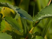 06-24-16-Selbys Landing-25466
