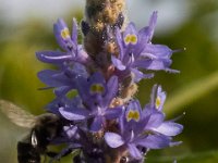 06-24-16-Selbys Landing-25530