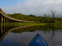 06-24-16-Selbys-Landing-25392-2