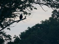07-17-16-Tuckahoe-21010