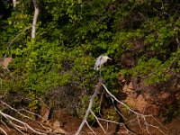 07-23-16-Rocky Gorge-21670