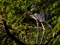07-23-16-Rocky Gorge-21719