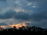 08-01-16-Alligator River-22287