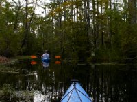 08-01-16-Alligator River-22471