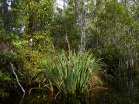 08-01-16-Alligator River-22536 1