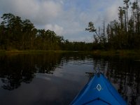 08-01-16-Alligator River-22556