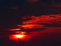 08-02-16-Beach Sunrise-22815