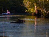 08-03-16-Indiantown Creek-23241