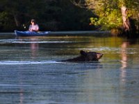 08-03-16-Indiantown Creek-23242