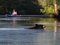 08-03-16-Indiantown Creek-23242email