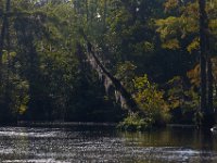 08-03-16-Indiantown Creek-23269