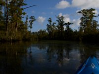 08-03-16-Indiantown Creek-23322