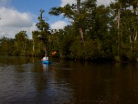 08-03-16-Indiantown Creek-23411