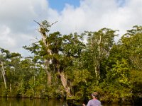 08-03-16-Indiantown Creek-23477