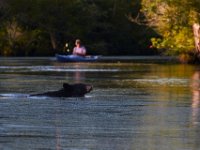 08-03-16-Indiantown-Creek-23240-email