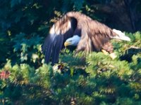 08-13-16-Rocky Gorge-24215