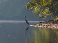 08-13-16-Rocky Gorge-24346