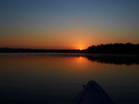 08-20-16-Mattawoman Creek-24526