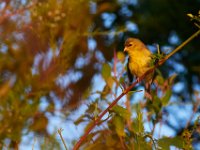 08-20-16-Mattawoman Creek-24577