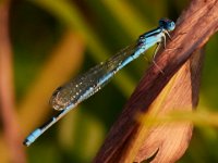 08-20-16-Mattawoman Creek-24638