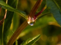 08-20-16-Mattawoman Creek-24645