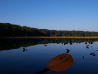 08-20-16-Mattawoman Creek-24897