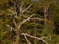 09-05-16-Nanjemoy-25695
