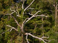 09-05-16-Nanjemoy-25699