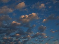 09-11-16-Mattawoman-26021