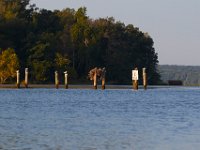 09-11-16-Mattawoman-26107