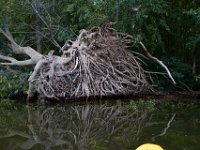 09-17-16-Piscataway-26616
