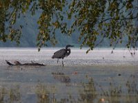 09-24-16-Smithville lake-26975