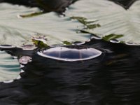 09-24-16-Smithville lake-27018