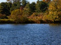 10-22-16-Larriland Farms-28574