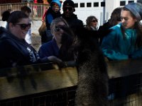 10-22-16-Larriland Farms-28653
