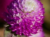 10-22-16-Larriland Farms-28883