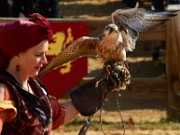 10-23-16-Renaissance Festival-29482